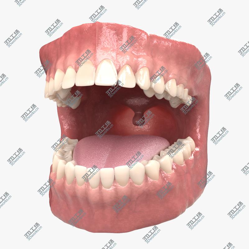 images/goods_img/202104021/3D Dental Anatomy/1.jpg